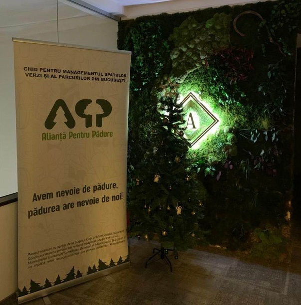 Ghid pentru managementul spațiilor verzi din București