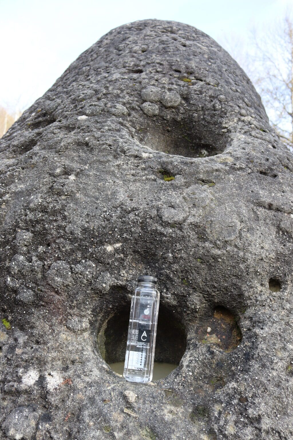 Zilele Pământului la „Focus to green eco life”